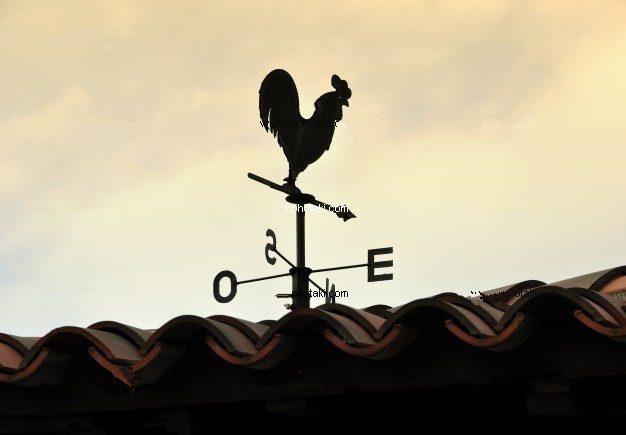 瑞馬燃?xì)獗趻鞝t，南方市場(chǎng)